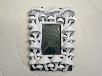 Mushroom Frame