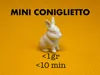 small bunny