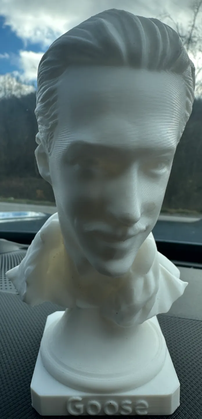 Top Gun Goose Bust