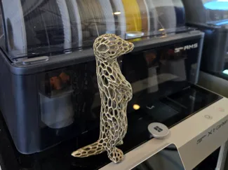 Voronoi Meerkat