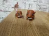 Baby Shrew - AMS (MINI)