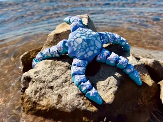 Starfish Oceanic Starburst