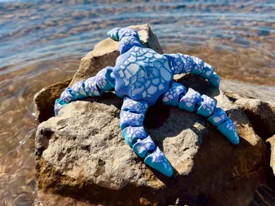 Starfish Oceanic Starburst
