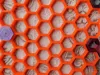 0.16mm layer, 2 walls, 15% infill