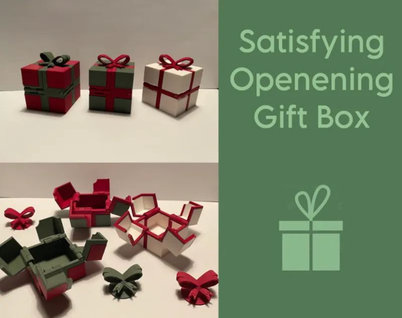 Satisfying Opening Gift Box (4 styles)