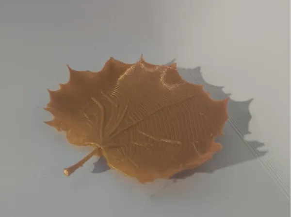 https://makerworld.bblmw.com/makerworld/model/US8288de12750792/design/2025-09-05_9832c380be5f1.jpg