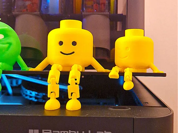 https://makerworld.bblmw.com/makerworld/model/US828c23e60d548d/design/2025-01-06_0f723d3ac407.jpg