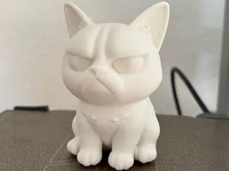 Grumpy Dog