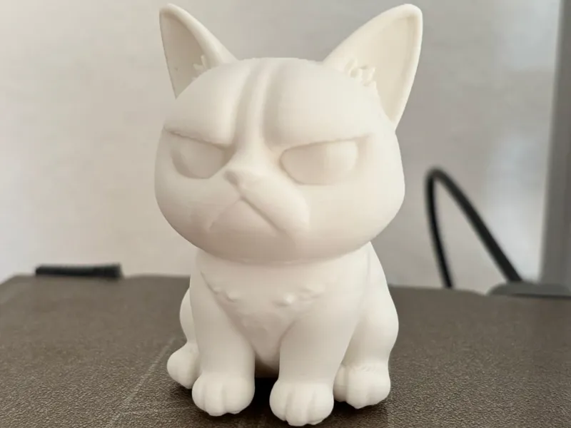 Grumpy Dog