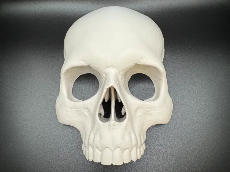 Wall Mounted Realistic Skull