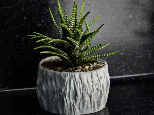 https://makerworld.bblmw.com/makerworld/model/US829a19abd23266/design/2024-08-13_be19ccd4130c1.jpg