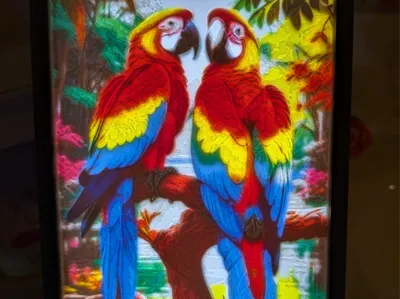 Parrots