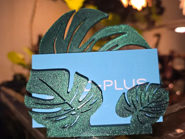 Porte-cartes de visite feuille de Monstera