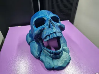 Skull Rock Hide