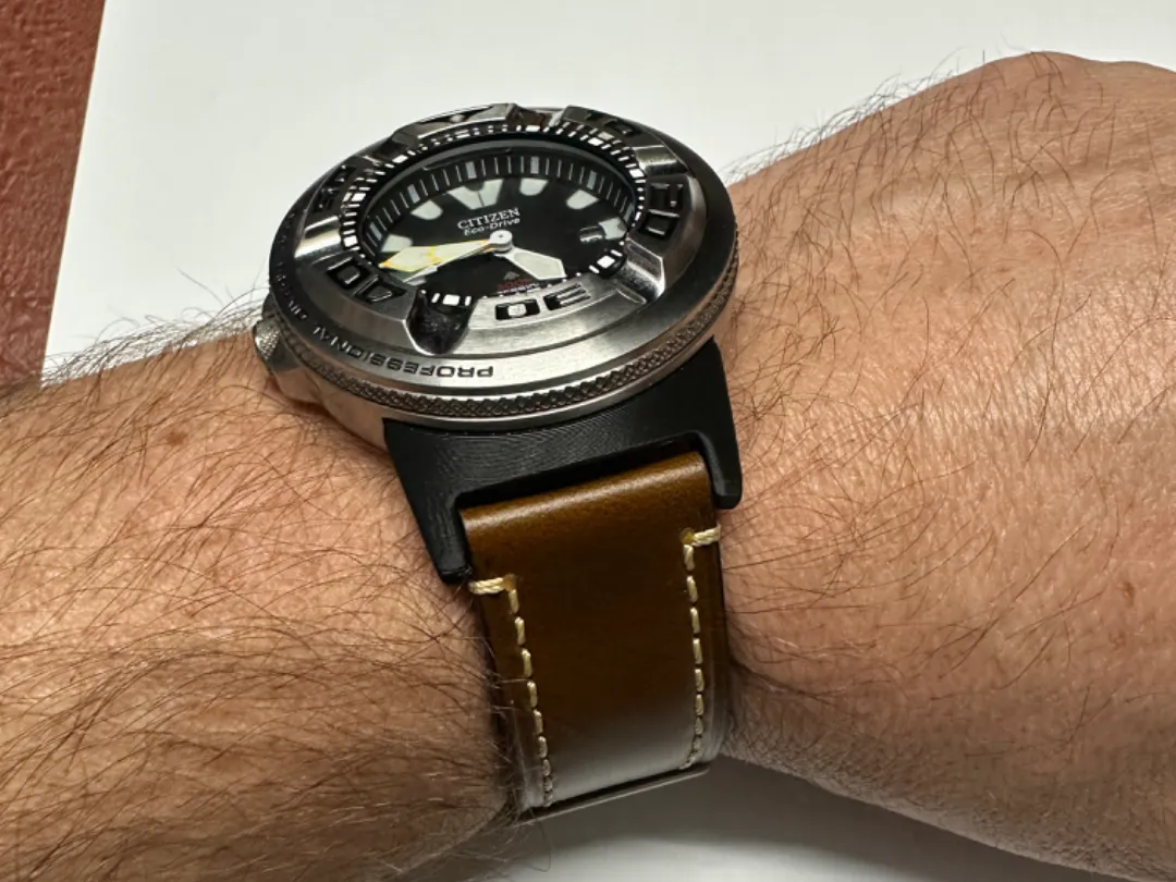 Promaster Process Citizen Watch Promaster Dive - Free 3D Print Model - MakerWorld