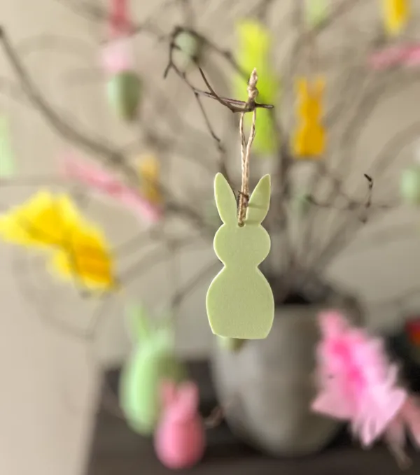 https://makerworld.bblmw.com/makerworld/model/US82a74449913eaa/design/2024-03-24_e66cc6f9f7e9c.jpg