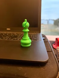 0.08mm layer, 2 walls, 15% infill, Slim Tree Support