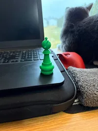 0.08mm layer, 2 walls, 15% infill, No Support