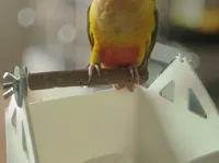 0.2mm 层高, 2 层墙, 15% 填充