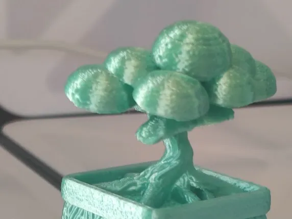 Zen Bonsai Tree in Textured Square Pot