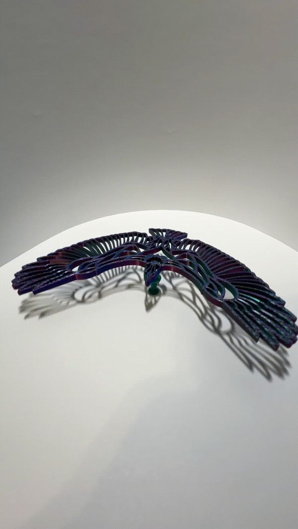 https://makerworld.bblmw.com/makerworld/model/US82afecd17d8062/design/2023-11-29_v0zzs870m2mk.gif