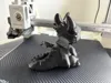Singel color, No AMS 0.2mm layer, 2 walls, 15% infill