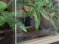 Bouchon de porte vitrée de remplacement pour terrarium — photo 2