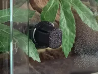 Bouchon de porte vitrée de remplacement pour terrarium — photo 1