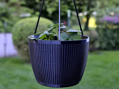 Hanging pot