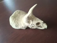 0.16mm layer, 2 walls, 15% infill