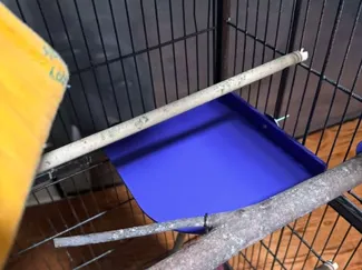 Bird Cage Square Corner Platform