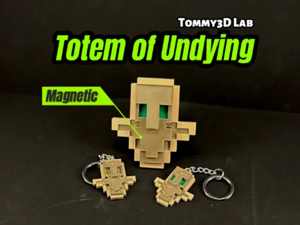 https://makerworld.bblmw.com/makerworld/model/US82c65be32923/design/2024-12-16_9e43d575f79f8.jpg