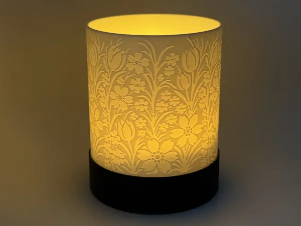 https://makerworld.bblmw.com/makerworld/model/US82c6e10c29e232/design/050d4e60133bafc9.jpg
