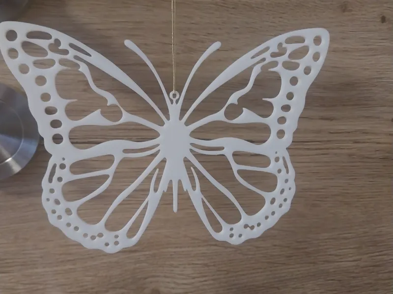 Schmetterling 