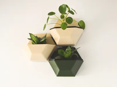 Hexagonal decor wall system 