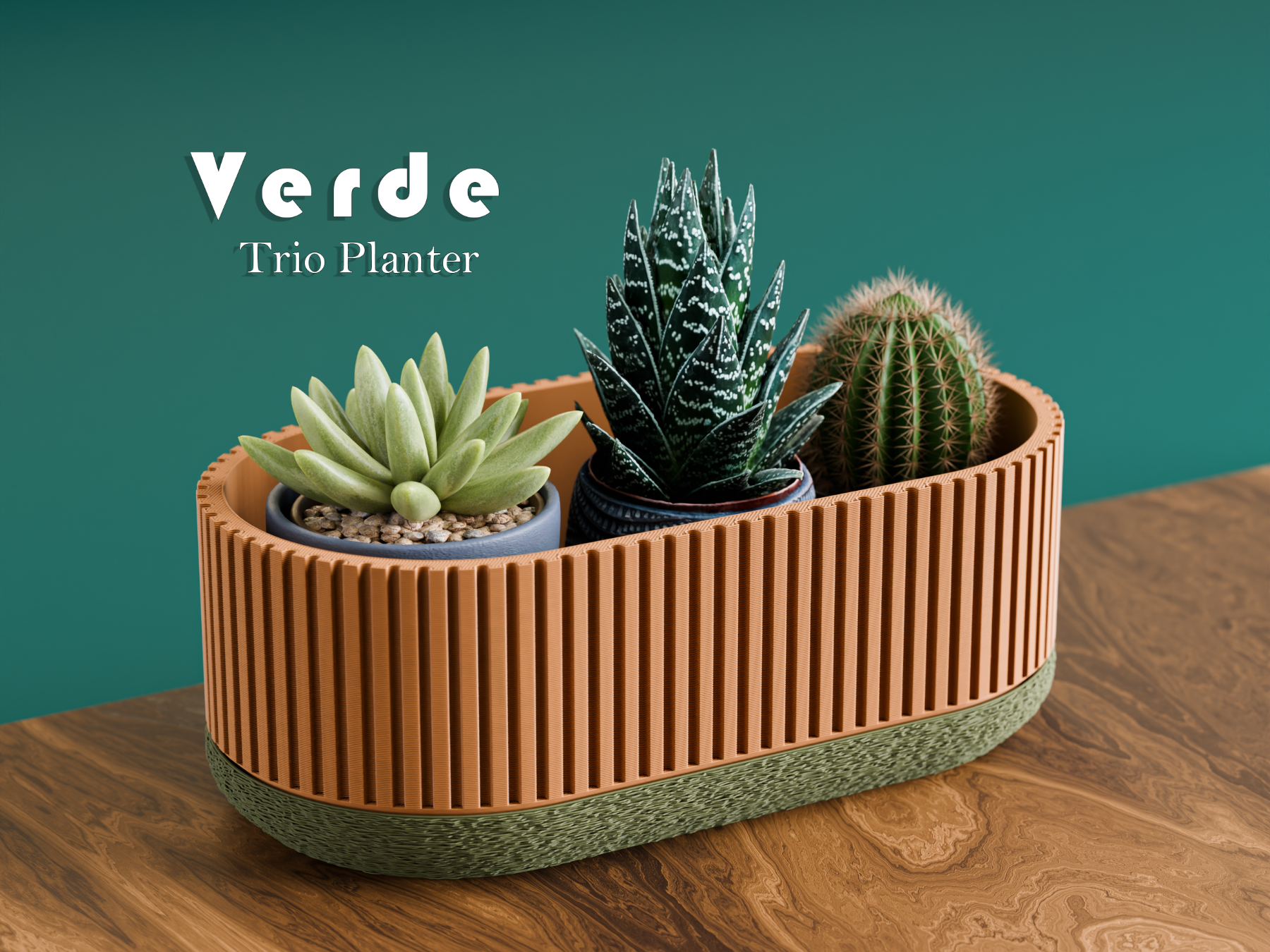 Plant Pot for Succulent and cacti / Trio Planter