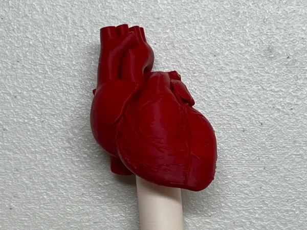 https://makerworld.bblmw.com/makerworld/model/US82d84c98f80643/design/2025-03-12_ba7bea1e07845.jpg