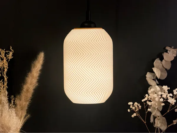 https://makerworld.bblmw.com/makerworld/model/US82d9e693055a42/design/2025-01-21_a1306e053d8978.jpeg