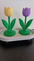0.2mm layer, 2 walls, 8% infill - ohne Reinigungsturm