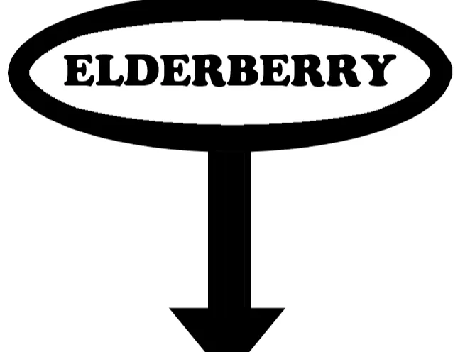Elderberry Garden Stake