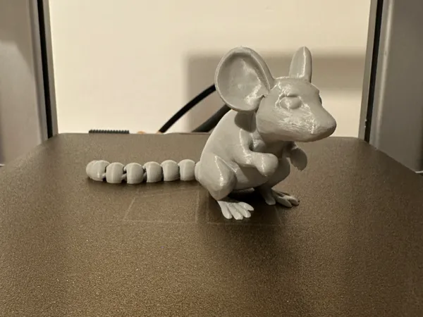 https://makerworld.bblmw.com/makerworld/model/US82e5b1af49c05a/design/2025-05-17_087172318d284.jpeg