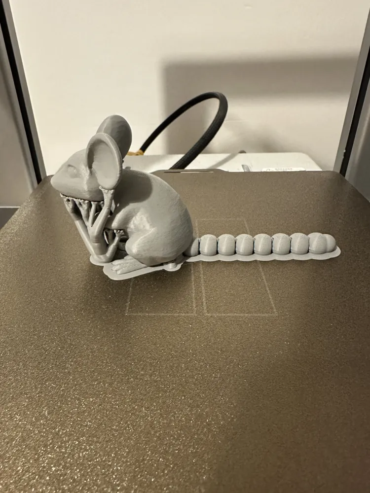 Mouse articulated Tail by 3D FunMakerWorld: Download Free 3D Models