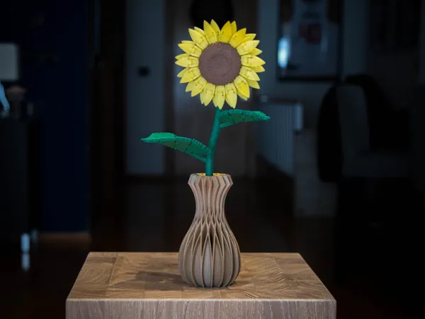 https://makerworld.bblmw.com/makerworld/model/US82e7466808020e/design/31254f0747b6f7e6.jpg