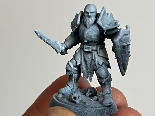 https://makerworld.bblmw.com/makerworld/model/US82e770a6b5e127/design/2025-06-21_190ec6513730a.jpeg