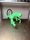 D-REX