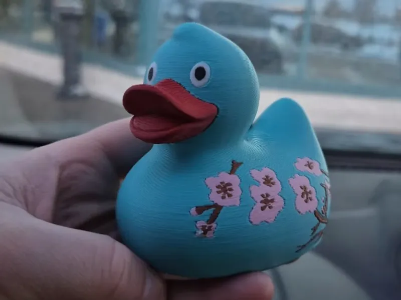 Japanese Inspired Duck