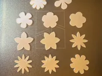 Fleurs — photo 2