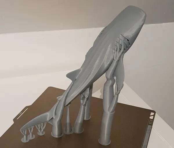 https://makerworld.bblmw.com/makerworld/model/US82f44ae60cc726/design/2024-03-11_52d911902e99a.jpg