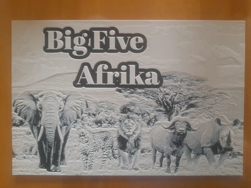Big Five - Afrika