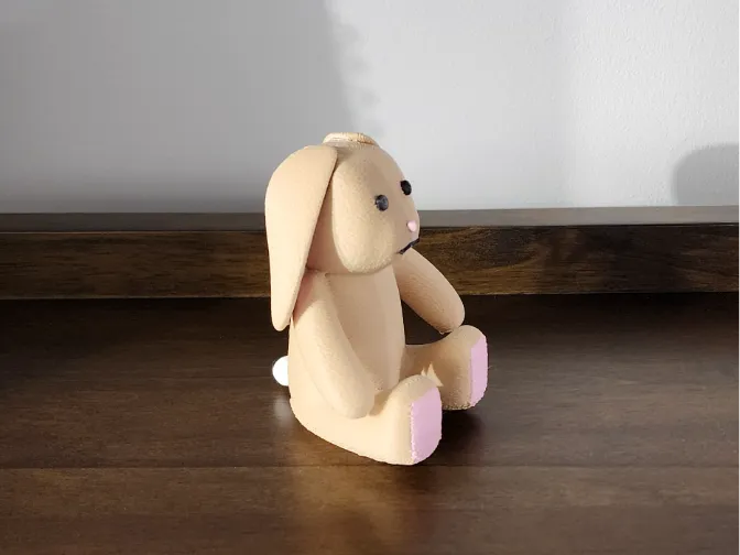 Cute Fuzzy Bunny